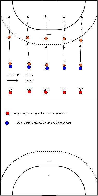 drawing Circuit / Strength exercises