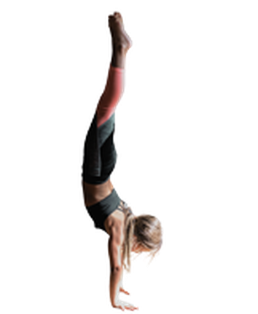 clase de gimnasia training