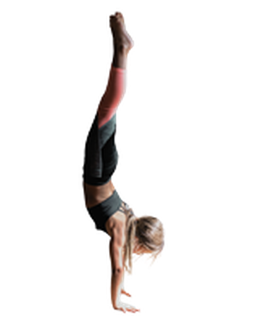 lezione di ginnastica training