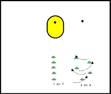 drawing 100 doelpunten oefening met hoedjes/speedladders