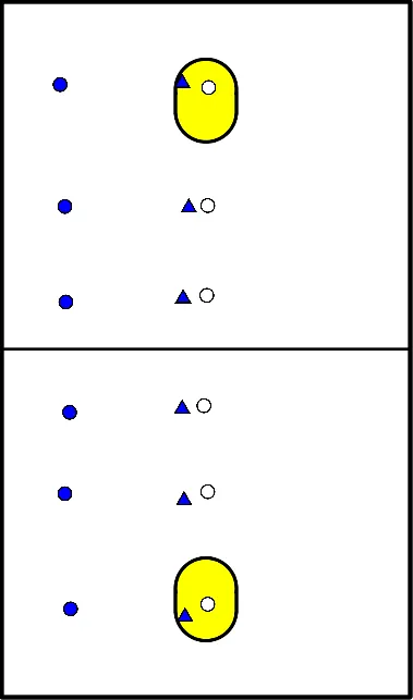 drawing Ladderschieten